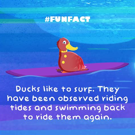 23 Fantastically Fun Facts for Kids | Night Zookeeper Blog