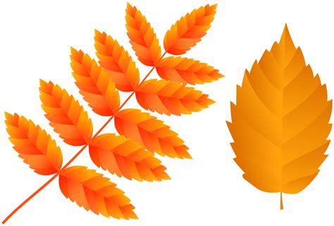 Free Orange Leaves Cliparts, Download Free Orange Leaves Cliparts png ...