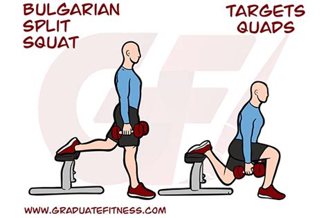 Bulgarian Split Squat Form, Muscles & Benefits - Graduate Fitness