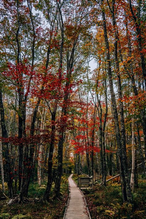 Guide to Acadia National Park in October for New England's Best Fall ...