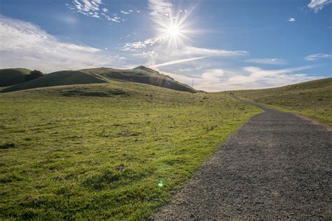 mission peak Archives - East Bay Wild!