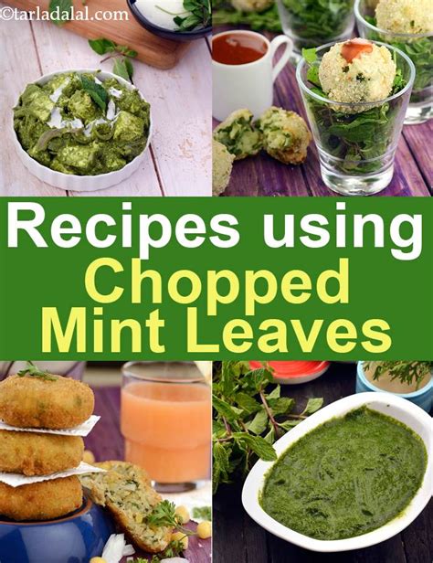 536 chopped mint recipes | chopped Indian Pudina vegetarian recipes.