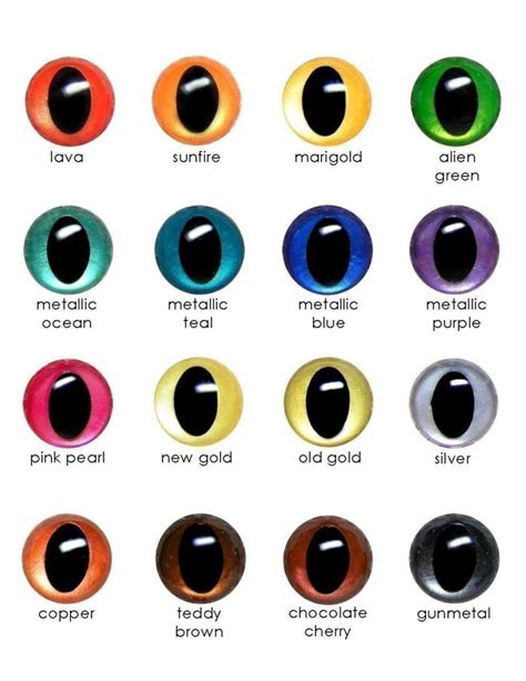 8 types of cat eye colors and their rarity with pictures excited cats ...