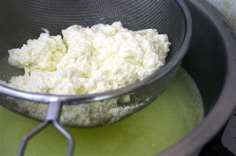 The Easiest Way to Make Quick Cheese at Home (Using Only 3 Common ...