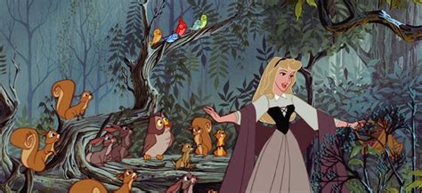 Sleeping Beauty Disney Princess Woodland Creatures Blank Template - Imgflip