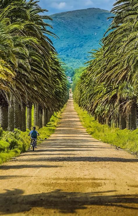 √ Natural Parks Around Uruguay