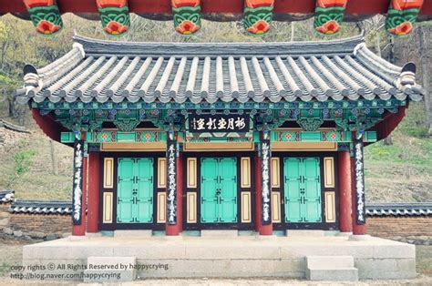 Here, you can find everything about Gyeongbuk!: Gyeongju cherry ...