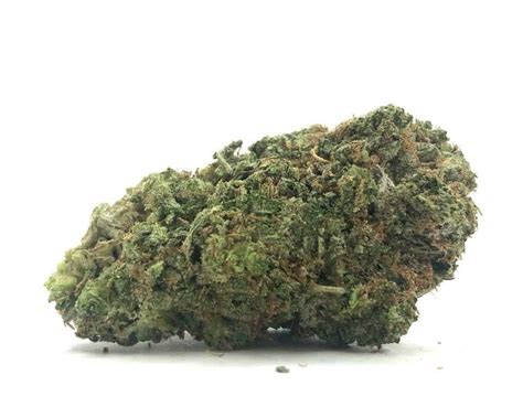 Pink Gas Marijuana Strain | Buy Pink Gas Strain Online At BudLyft