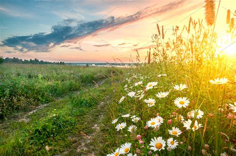 Early morning sunrise at field in summer | High-Quality Nature Stock ...