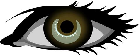 Free Human Eye Cliparts, Download Free Human Eye Cliparts png images ...