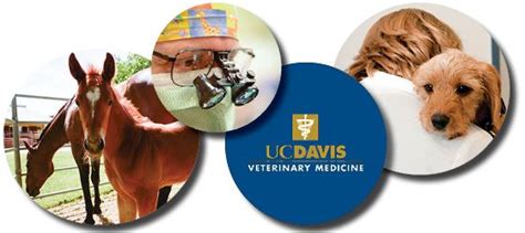 UC Davis School of Veterinary Medicine Clinical Trials