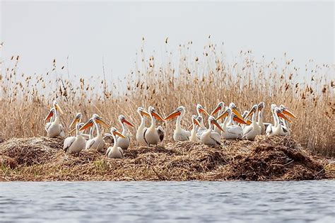 Volga River - WorldAtlas