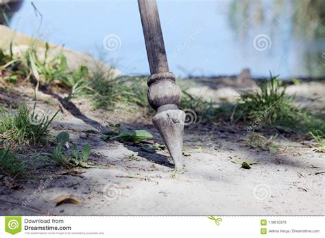 Wooden spear stock image. Image of river, ground, grass - 116610379