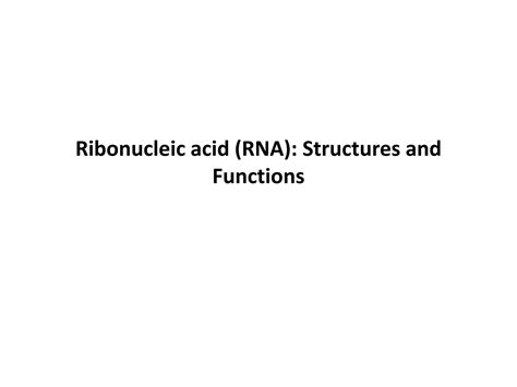 SOLUTION: Lecture rna structure and functions - Studypool