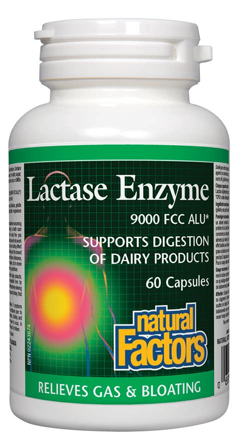 Natural Factors Lactase Enzyme (60 Capsules) – Lifestyle Markets