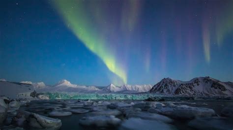 10 Fascinating Facts About the Arctic Circle | Mental Floss