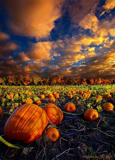 Pumpkin Crossing | Fall pictures, Autumn scenes, Autumn scenery