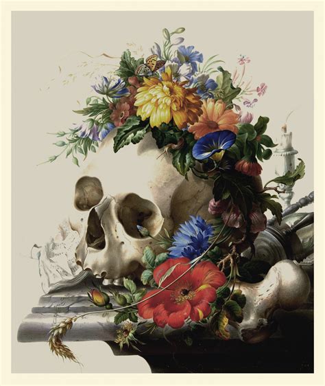Skull, Flowers Still Life Free Stock Photo - Public Domain Pictures