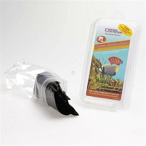 Ocean Nutrition - Ocean Nutrition Seaweed Brown [12g] - brązowe algi z czosnkiem - sklep ...