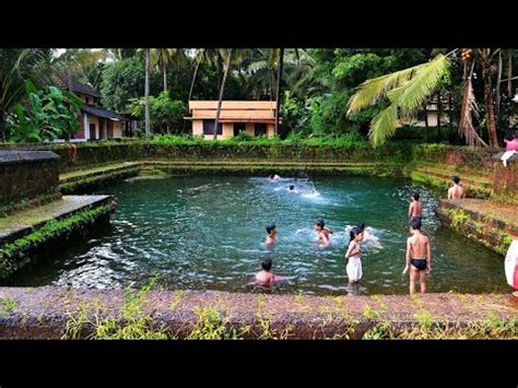 Kerala Ponds - Gods own country - YouTube