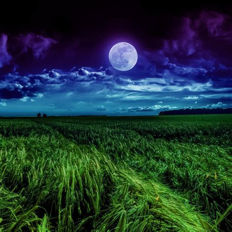 Moon Wallpaper 4K, Landscape, Night, Field, Cloudy, Nature, #1016