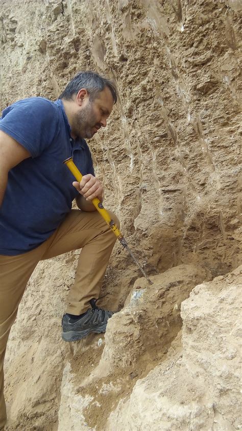 Los investigadores encontraron uso de gran tamaño de la especie 'Arctotherium angustidens'.