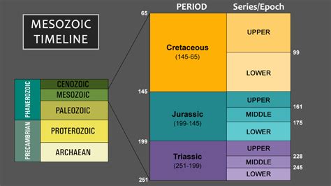 mesozoic era timeline - Google Search | Important facts, Timeline, Facts