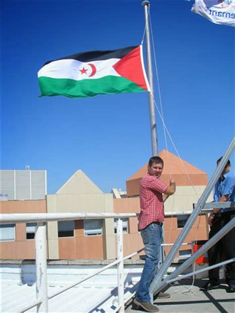 Beatiful Wallpaper: Flag of Western Sahara