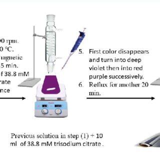 Illustrative diagram of gold nanoparticles' synthesis. | Download Scientific Diagram