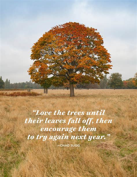 24 November Quotes That Will Make You Thankful for Fall | November ...