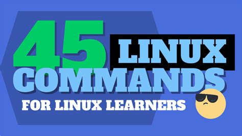 45 Essential Linux Commands (with Examples) - Tutorial Works