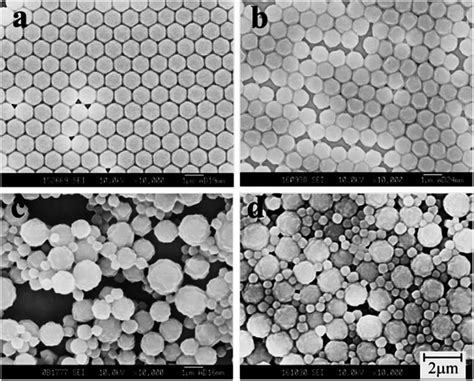 SEM images of PMMA microspheres prepared by photoinitiated RAFT ...