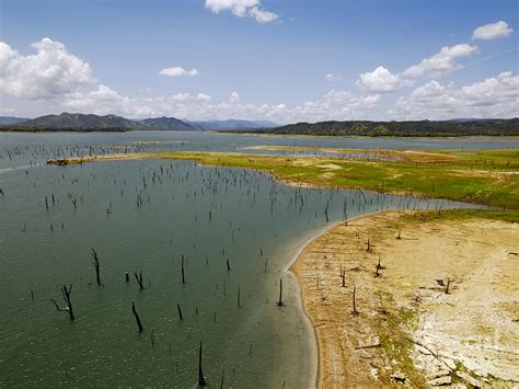 Gatun Lake, Panama Canal Photograph by Visual Arts Gallery