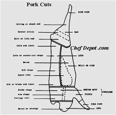 How to Butcher a pig, pork butchering cuts, butcher pigs, butchering pig, butchering, pork cuts ...