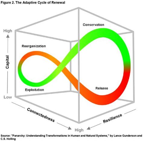 Panarchy Loop / Adaptive Cycle of Renewal | Systems thinking, Resilience, Innovation strategy