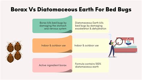 Diatomaceous Earth Vs Borax: Major Difference - GreenRatControl