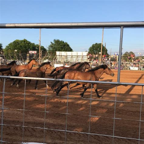 It's Almost Time for the Tops in Texas Rodeo 2023!