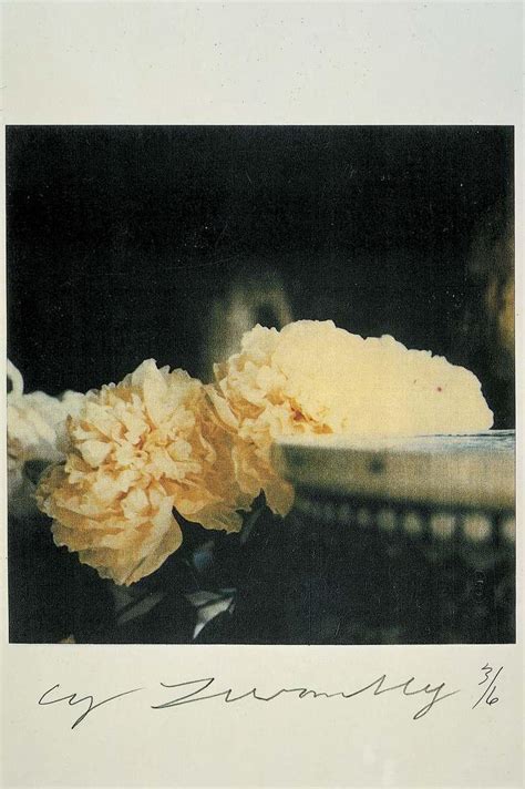 cy-twombly-photographs-2 | tomorrow started