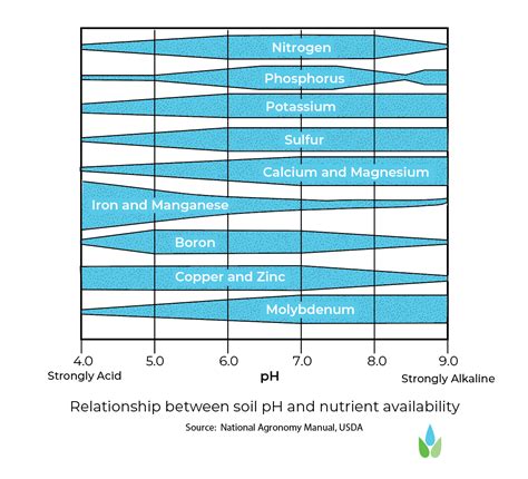 Soil pH and Nutrient Availability