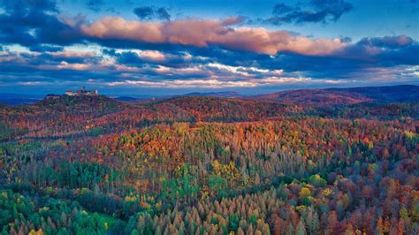 3840x2160 Autumn Leaves In The Thuringian Forest 4K ,HD 4k Wallpapers ...