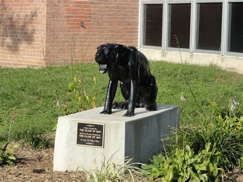 'Newsweek' Ranks Pikesville High School Among Top Schools in U.S. | Pikesville, MD Patch