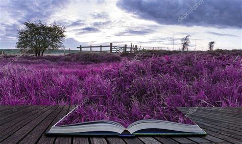 landscape - Puzzle Factory