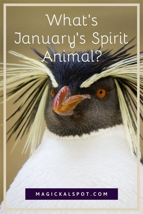 What’s January’s Spirit Animal? [+ Working With Its Energy]