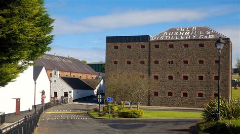 Old Bushmills Distillery in Bushmills, Northern Ireland | Expedia