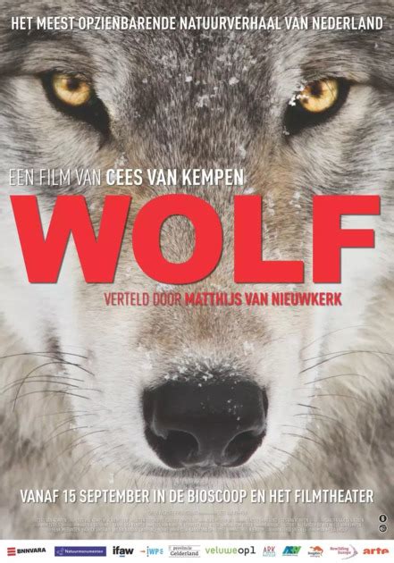 WOLF, de film | IFAW