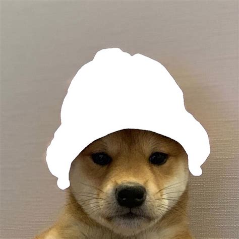 Dog Wif Hat ~ Dog Template Pfp Icon Cheems | Bodorwasuor