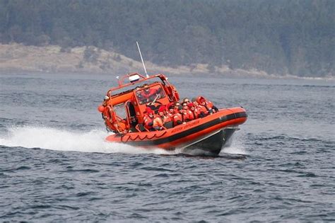 Friday Harbor Whale Watching Adventure Tour 2024 - San Juan Islands