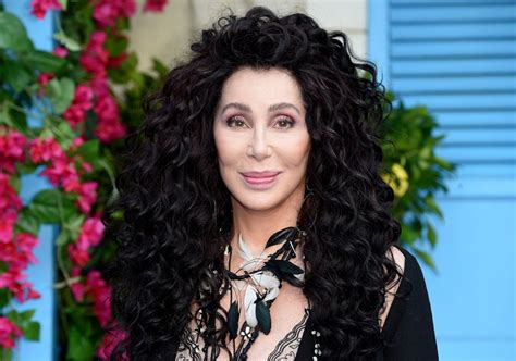 After movie, Cher to release album of Abba covers - Entertainment - The ...