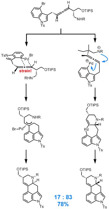 Total Synthesis of Lysergic Acid by Fuji-Ohno