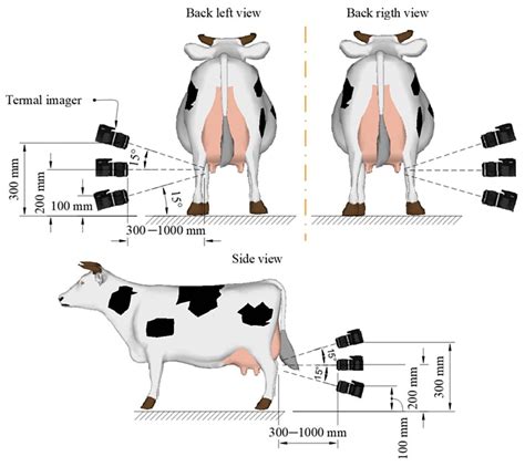 Mastitis Detection in Dairy Cows using Artificial Intelligence ( AI ...